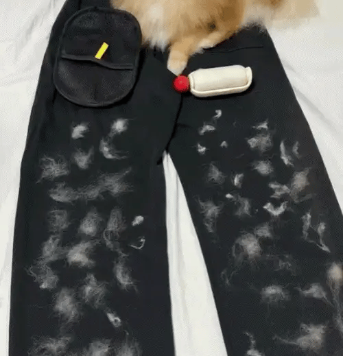 GroomMate™ Pet Hair Remover Glove